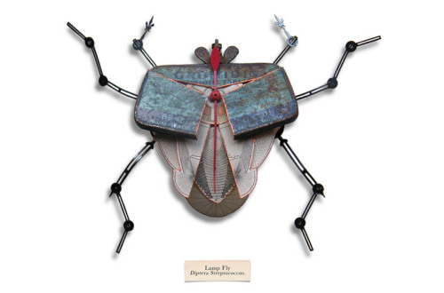 archiemcphee:British artist Mark Oliver created an awesome series of insect collages new species of 