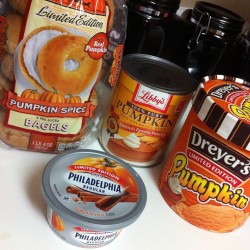 ladyraging:  twirlyeleven:  narwhal-noir:  that-one-chubby-guy:  celestialcyanide:  thestripperdiaries:  ITS TIME.     WHY THE FUCK WOULD ANYONE EAT PUMPKIN SPICE CREAM CHEESE  PUMPKIN SPICE CHEESE ON MY PUMPKIN SPICE BAGEL WITH MY PUMPKIN SPICE COFFEE