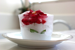 whimsical-wishes:  So I froze a flower this