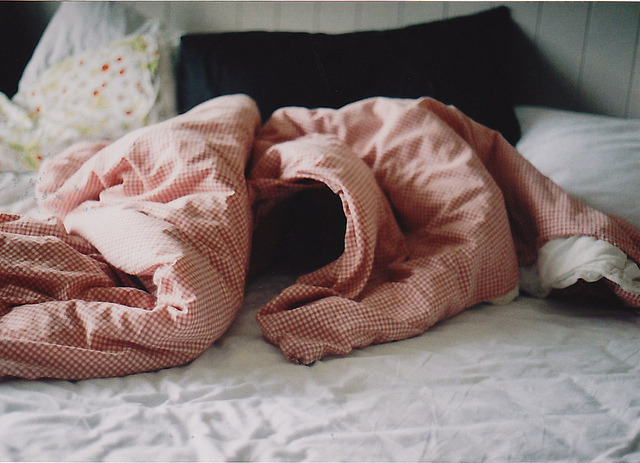 palides:  untitled by teva. on Flickr. 