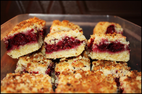 BLACKBERRY CRUMB BARSAdapted from Smitten Kitchen  Yet again, today I embarked on a blackberry 