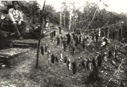 The Rat Hunters, World War I.