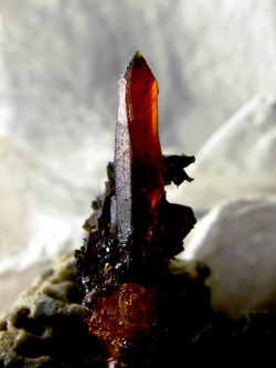  Poland zincite crystal (by Sea Moon) 