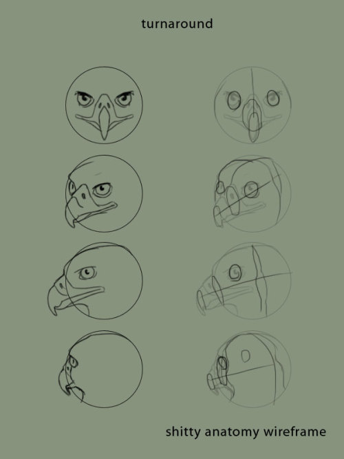 xenozombiemorph:  supaslim:  because it is the bane of my existence to see artists who don’t even TRY to get bird anatomy right, when they’ll gladly put forth the effort to learn mammalian anatomy BIRDS ARE SO EASY TO DRAW THERE ARE NOT MANY MOVING