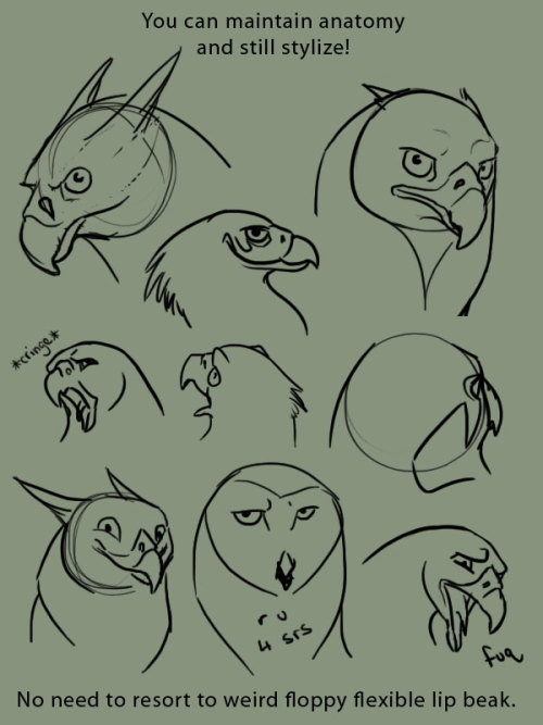 xenozombiemorph:  supaslim:  because it is the bane of my existence to see artists who don’t even TRY to get bird anatomy right, when they’ll gladly put forth the effort to learn mammalian anatomy BIRDS ARE SO EASY TO DRAW THERE ARE NOT MANY MOVING