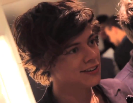 horansheartx:   Interviewer: Who do you think Harry has drawn? Louis: Himself (x)