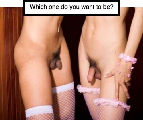 s19000:  i can’t decide.