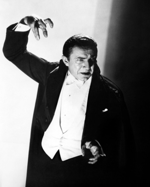 amy-blue: Dracula (1931)