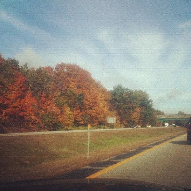 Peak perfection. #fall #2012 almost at Franklin falls.  (Taken with Instagram)