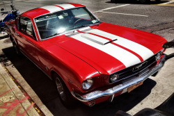 dashafantasca:  Racing Stripe Stang 2 on