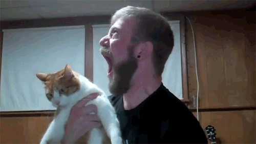 derp-mental:  