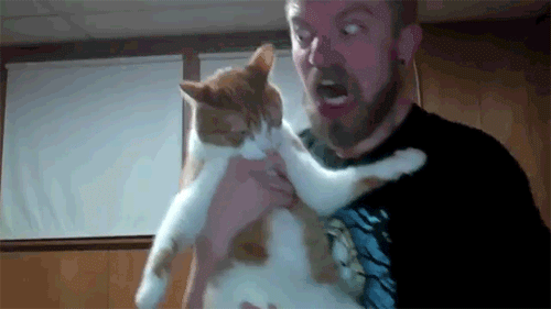 derp-mental:  
