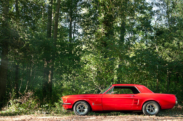 ford-mustang-generation:  1967 Ford Mustang by BenjiAuto (Ratet B. Photographie)