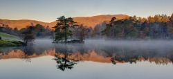 animals-plus-nature:  Morning Mists at Tarn Hows by dmass on Flickr.