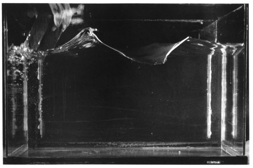 explodingtorium:Making Waves, photo by Susan Schwartzenberg, 1980’s