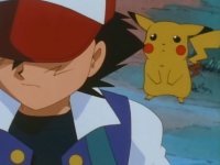 fypblog:  nerdycouture:  peta clearly doesn’t actually know anything about pokemon