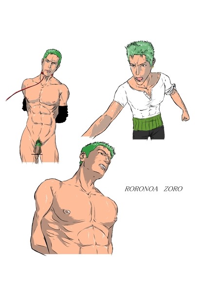 baraparadise:  Zoro apreciation post.