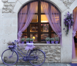 nadiaelnaggar:  The annual lavender festival