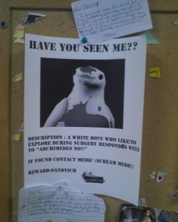 constantincantations:  mr-benzedrine-alsointocats:  I found these posted on the bulletin boards at college today. I got a good laugh out of them.  i wish my school was this awesome 