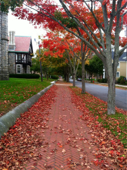 keep-you-right:  I love my town in the Fall!
