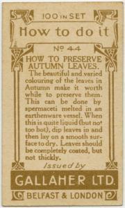 prepologist:  How to preserve autumn leaves 