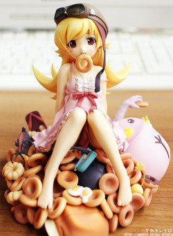 obschi:  anime: (化物語/bakemonogatari) 忍野忍oshino shinobu  