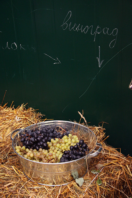 the Seasons festival, Fall 2009 by Asya Salmina on Flickr.