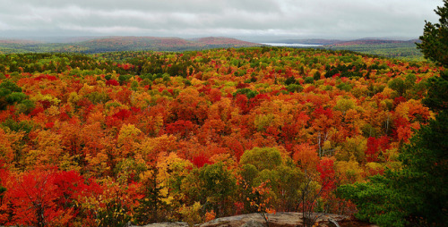 Algonquin Park, Ontario, Canada - September 2012 by pjzych on Flickr.