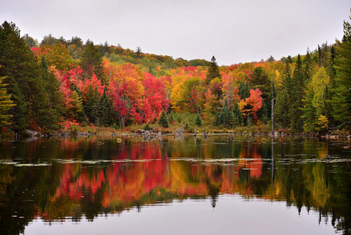 Algonquin Park, Ontario, Canada - September 2012 by pjzych on Flickr.