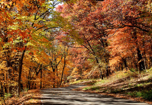 Fall drive in Geode Park by Cole Chase on Flickr.