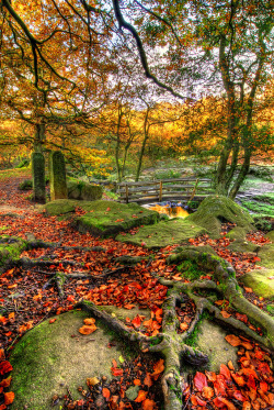 bluepueblo:  Autumn Bridge, Derbyshire, England photo via rachel 