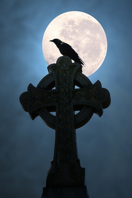 Porn photo themagicfarawayttree:  Moonlight Crow (by