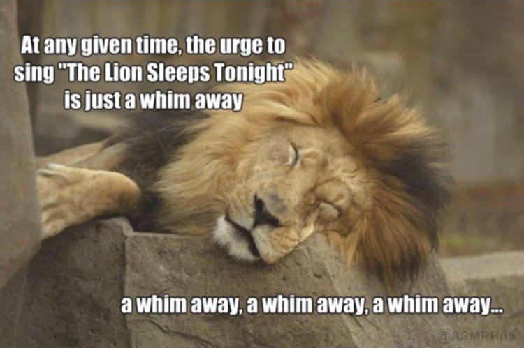 ghostcrow:  fenris-kin:  fenris-kin:  I wish this wasn’t so funny  GODDAMNIT I’M