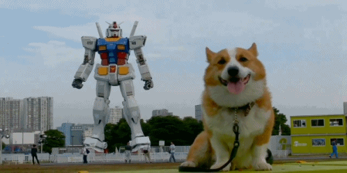 I care about the Gundam back there, my girlfriend would care about the dog upfront. Women.