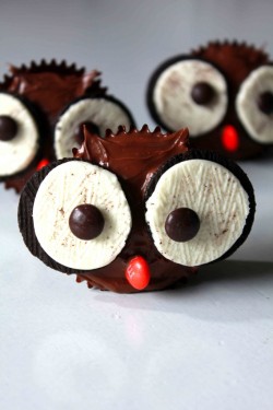 gastrogirl:  halloween owl cupcakes. 