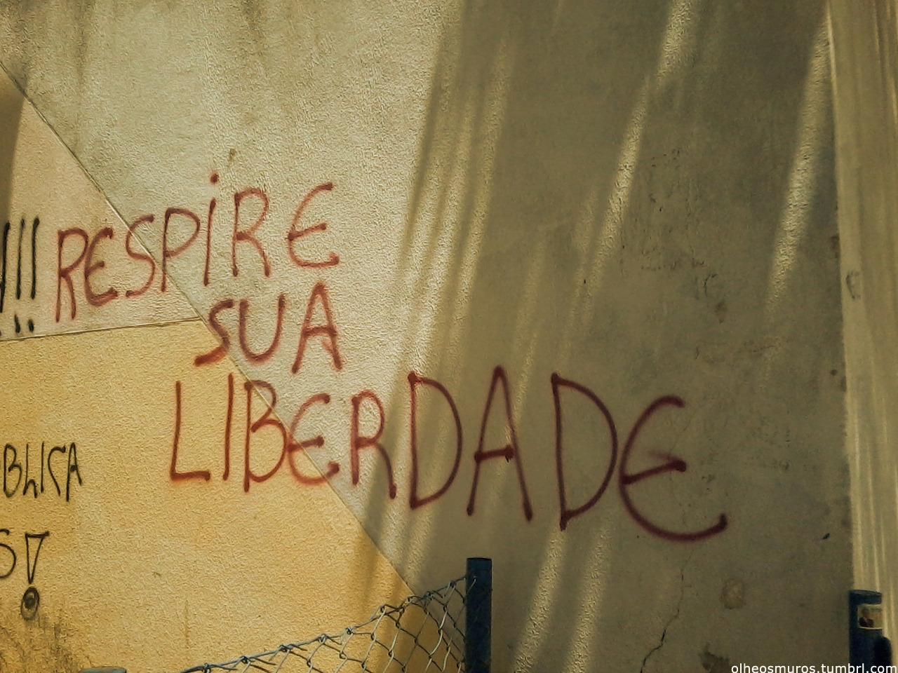 Um barzinho