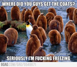 9gag:  It’s certainly freezing! 