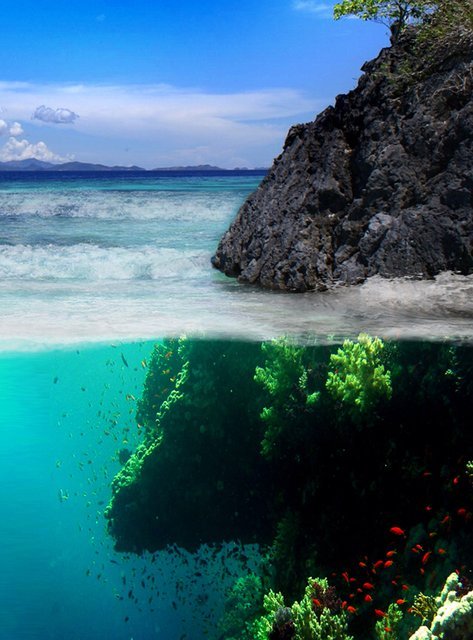 peachnaked:  wildbliss:  vvolfmist:  how can you even photograph this? haha  underwater camera haha :) also look how more beautiful underwater is than above aw  Both are beautiful 