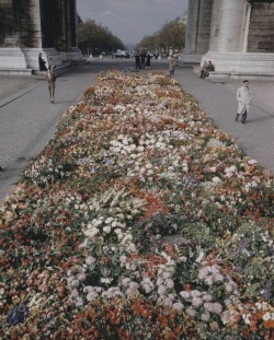  Flowers lining the street for Christian
