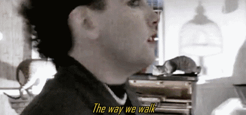 curegifs:  We move like cagey tigersWe couldn’t get closer than this