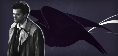 cas, buddy