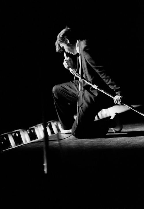 Elvis Presley, 1957, photo by Alfred Wertheimer 
