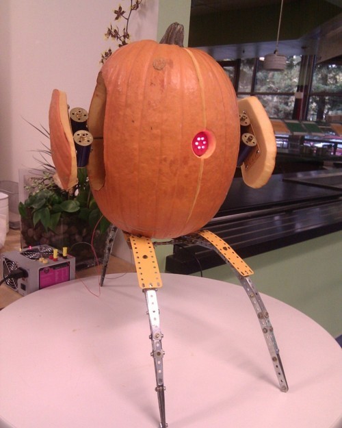 deliciouspineapple:emberboo:rocketminx:Best pumpkin ever. Everyone else go home.I don’t blame you.ar