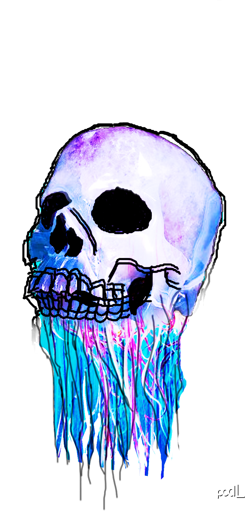 ottohinterseeer:  skully biatsj III  by  podL     (transparent PNG.image)  