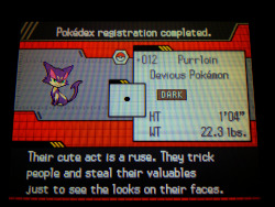 19callalilies:  my boyfriend named his Purrloin after me today.  For the record it&rsquo;s a Liepard now and has beaten at least three games with me.