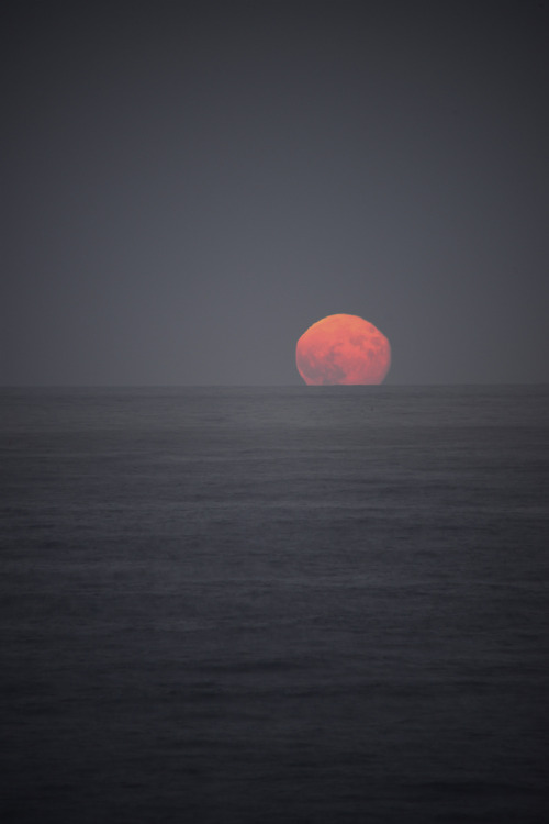 Sex shinimasu:  Moon on Horizon by polargrape pictures