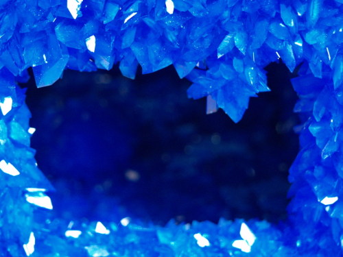 free-parking-blog:Roger Hiorns, Seizure, an abandoned flat covered in blue copper sulfate crystals