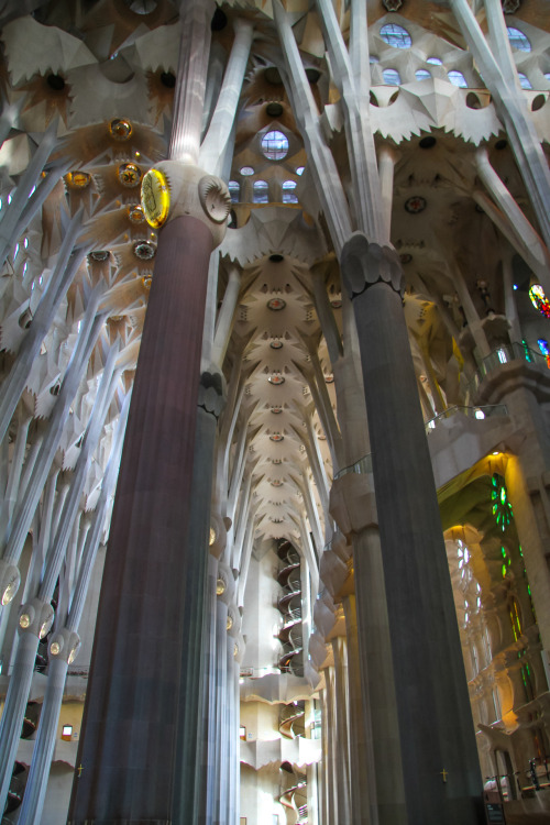 sagrada