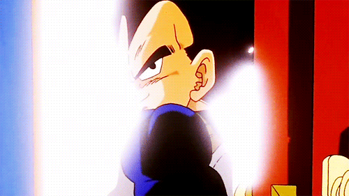 Tenkaichi Budokai