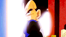 Tenkaichi Budokai